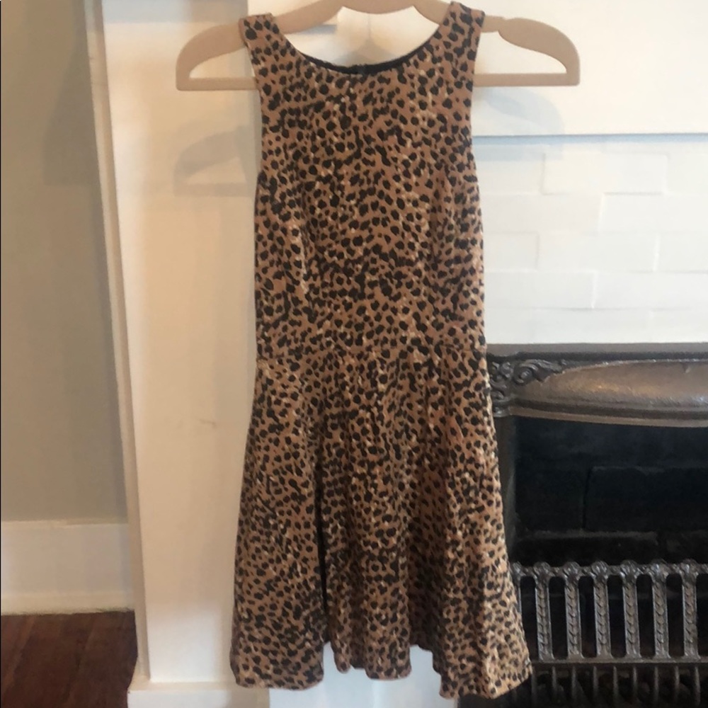 Leopard Print Skater Dress